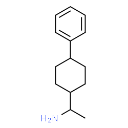 1-(4-Phenylcyclohexyl)ethanamine picture