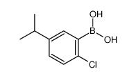 (2-Chloro-5-isopropylphenyl)boronic acid structure