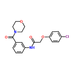 940504-98-3 structure