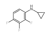 n-cyclopropyl-2,3,4-trifluoroaniline picture