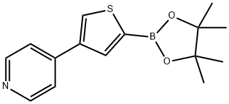 4-(4-Pyridyl)thiophene-2-boronic acid pinacol ester结构式