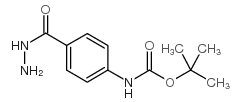 TERT-BUTYL 4-(HYDRAZINECARBONYL)-PHENYLCARBAMATE picture