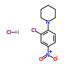 1-(2-CHLORO-4-NITRO-PHENYL)-PIPERIDINE HYDROCHLORIDE结构式