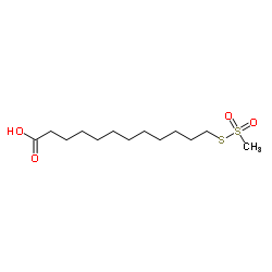 12-[(Methylsulfonyl)sulfanyl]dodecanoic acid结构式