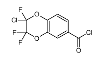 2-chloro-2,3,3-trifluoro-1,4-benzodioxine-6-carbonyl chloride Structure