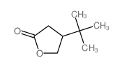 2(3H)-Furanone,4-(1,1-dimethylethyl)dihydro-结构式