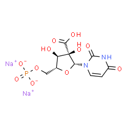 2'-Uridylic acid, disodium salt picture