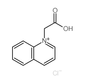 2-quinolin-1-ylacetic acid结构式