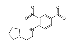 2,4-dinitro-N-(2-pyrrolidin-1-ylethyl)aniline结构式