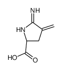 2H-Pyrrole-2-carboxylic acid,5-amino-3,4-dihydro-4-methylene-,(2S)- Structure