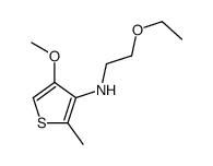 N-(2-ethoxyethyl)-4-methoxy-2-methylthiophen-3-amine Structure