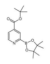 TERT-BUTYL 2-(4,4,5,5-TETRAMETHYL-1,3,2-DIOXABOROLAN-2-YL)ISONICOTINATE structure