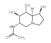 6-ACETAMIDO-6-DEOXY-CASTANOSPERMINE structure