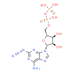 64020-53-7 structure