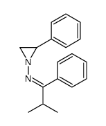 2-methyl-1-phenyl-N-(2-phenylaziridin-1-yl)propan-1-imine Structure