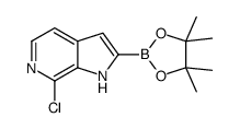 7-氯-2-(4,4,5,5-四甲基-1,3,2-二噁硼烷-2-基)-1H-吡咯并[2,3-c]吡啶结构式