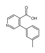 3-(M-Tolyl)isonicotinic acid structure