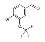 4-溴-3-(三氟甲氧基)苯甲醛图片