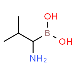 (1-Amino-2-methylpropyl)boronic acid picture