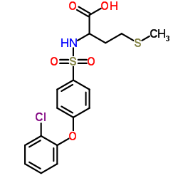 N-[4-(2-Chlorophenoxy)phenylsulfonyl]-S-Methylhomocysteine picture