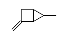 5-methyl-3-methylidenebicyclo[2.1.0]pentane Structure