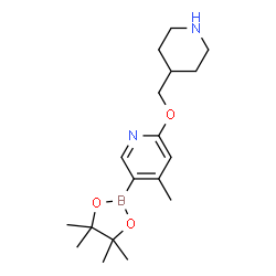 4-Methyl-2-(piperidin-4-ylmethoxy)-5-(4,4,5,5-tetramethyl-1,3,2-dioxaborolan-2-yl)pyridine picture