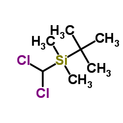 t-butyl(dichloromethyl)dimethylsilane picture