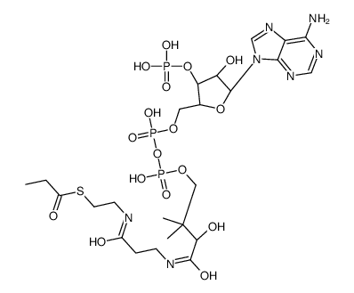 propionyl-CoA structure