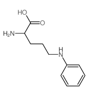 2-amino-5-anilino-pentanoic acid Structure