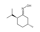 E-(-)-(1R,trans)-3-p-menthanonoxime结构式