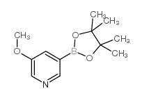 3-Methoxy-5-pyridineboronic acid pinacol ester structure