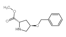 TRANS METHYL O-BENZYL-L-4-HYDROXYPROLINE picture