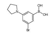 3-Bromo-5-(pyrrolidin-1-yl)phenylboronic acid picture