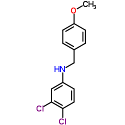 3,4-dichloro-N-[(4-methoxyphenyl)methyl]aniline Structure