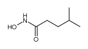 N-(4-Methyl-valeryl)-hydroxylamin Structure