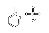 1-methylpyridazin-1-ium,perchlorate Structure