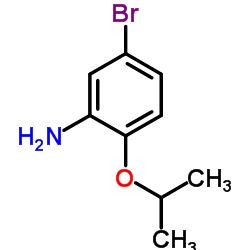 1019442-22-8 structure