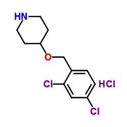 4-[(2,4-Dichlorobenzyl)oxy]piperidine hydrochloride (1:1) picture