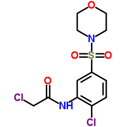 2-CHLORO-N-[2-CHLORO-5-(MORPHOLIN-4-YLSULFONYL)PHENYL]ACETAMIDE结构式