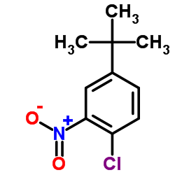 58574-05-3 structure