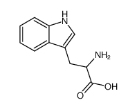 L-tryptophane Structure