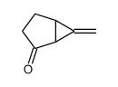 6-methylidenebicyclo[3.1.0]hexan-2-one Structure