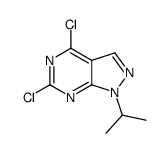 4,6-Dichloro-1-isopropyl-1H-pyrazolo[3,4-d]pyrimidine structure