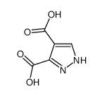 1H-PYRAZOLE-3,4-DICARBOXYLIC ACID Structure