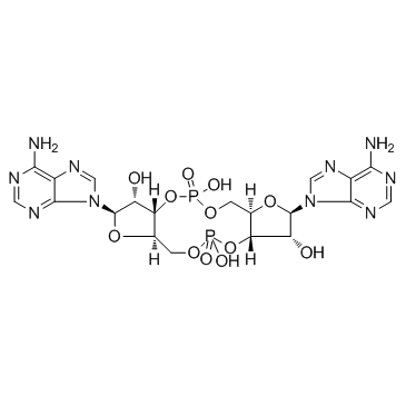 c-di-AMP Structure