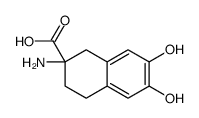 2-amino-6,7-dihydroxy-3,4-dihydro-1H-naphthalene-2-carboxylic acid Structure