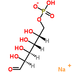 70442-25-0 structure