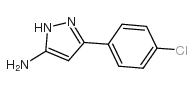 3-氨基-5-(4-氯苯基)吡唑图片