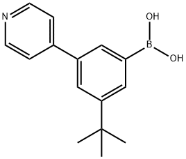 3-(tert-Butyl)-5-(pyridin-4-yl)phenylboronic acid结构式