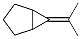 Bicyclo[3.1.0]hexane, 6-isopropylidene- picture